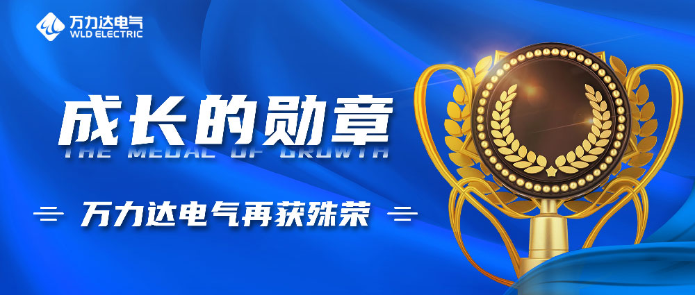 成長(cháng)的勛章！萬(wàn)力達電氣再獲殊榮